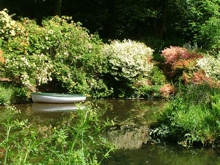 Lukesland, Devon, England - trees, water, boat, lake, peace