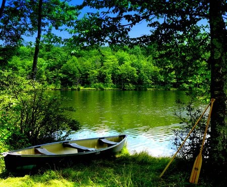 Green Lake - lakeshore, beauty, autumn, sky, trees, peaceful, riverbank, greenery, calm, quiet, river, summer time, green, abandoned, tree, grass, paddles, boat, lake, boats, landscape, summer, shore, serenity, nature, forest, tranquil, beautiful, rest, leaves, splendor