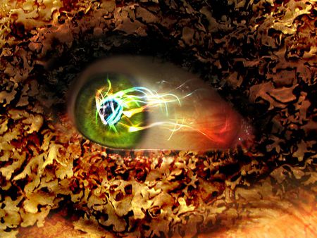 eyes - green, autumn, abstract, eyes