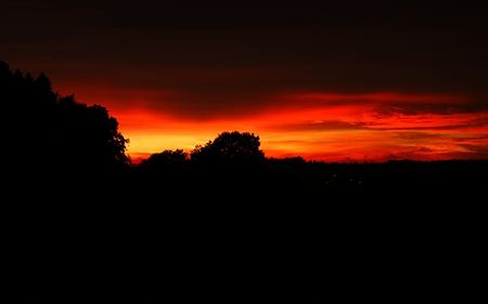 Red Twilight - clods, trees, red, lights, twilight, sky