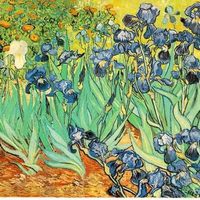 Irises by Van Gogh