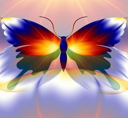 COLORFUL BUTTERFLY - butterfly, abstract, colorful, design