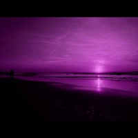 PURPLE SUNSET