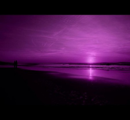 PURPLE SUNSET