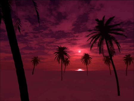 SPRING BREAK - clouds, sunset, palm trees, spring, pink, sky