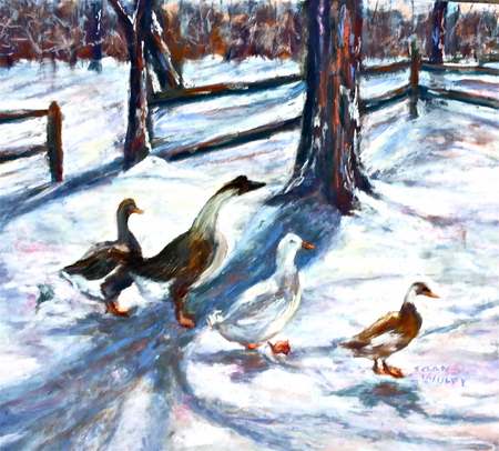 Ducks and Geese in Winter - nature, landscape, winter, pastel, birds