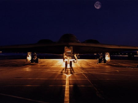 bird on the runway - plane, aircraft, lights, wings, runway