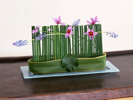 Ikebana Display