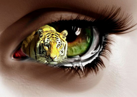 Eye of the Tigerwoman - green, brown, eye, tiger