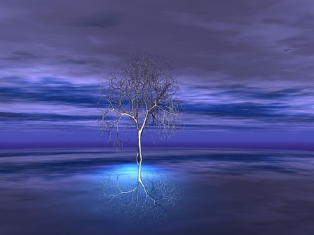 the joshua tree - 3d, purple, tree, sky