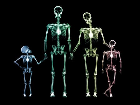 X-Ray Family - skeletons, skull, skeleton, x-ray