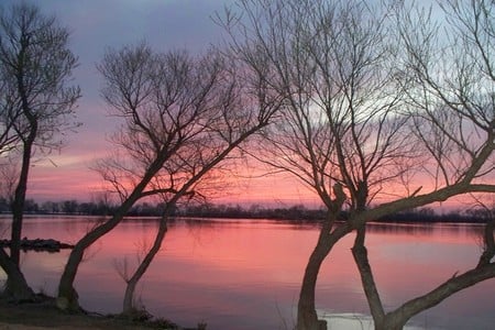 Cheneyland - water, lake, tree, sunset