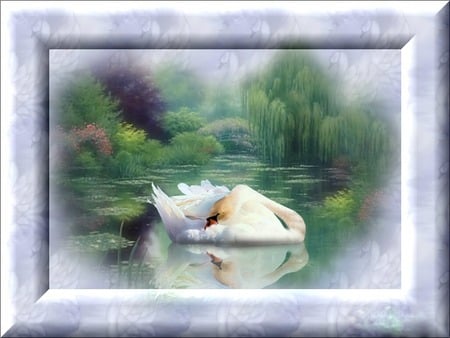 Swan Lake - painting, swan, lake, border