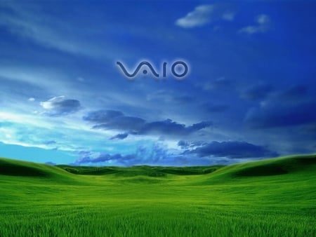 Vaio 