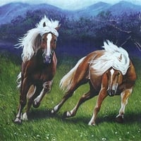 Austrian Horses