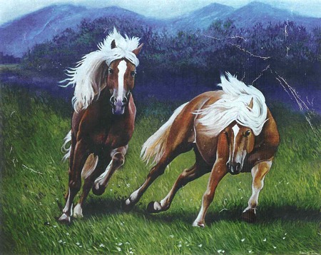 Austrian Horses