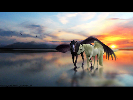 A Couple Of Pegasus - abstract, pegasus, greek, fantasy, mythology