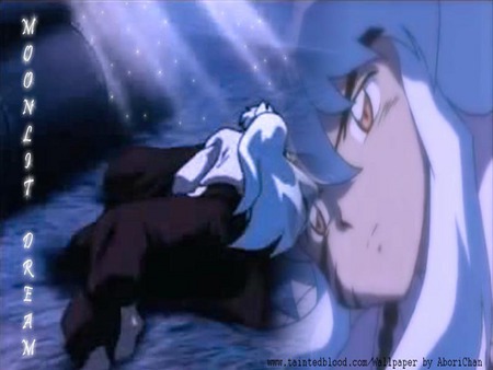 Moon Lit Dreams - sleeping, dreams, moonlight, inuyasha