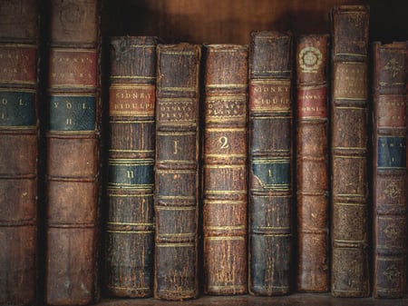 BOOKS - library, hot, school, leather, colors, books