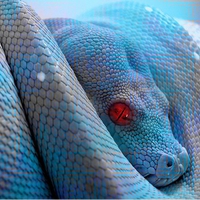 blue snake