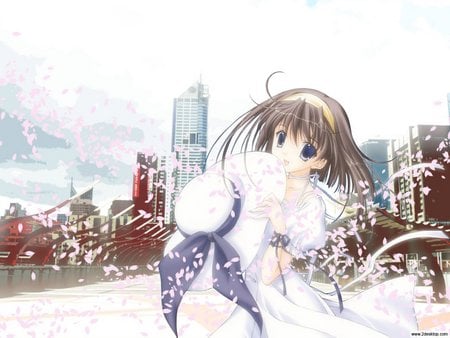 Cute anime girl - girl, cute, anime, sakura