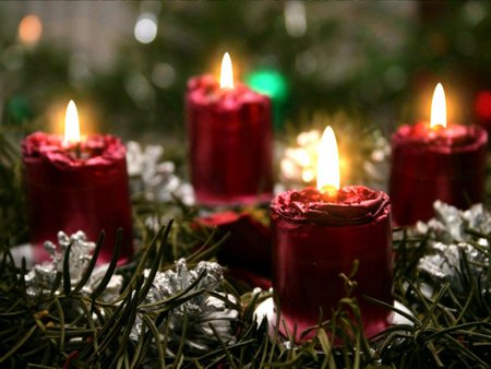 Christmas candles - christmas, candles, pine needles, candlelight