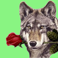 Wolf love