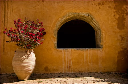 Convent Garden - vase, stone, flower, window