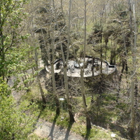 the trees on the palace