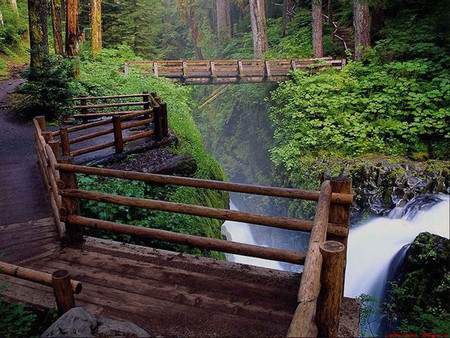 Window to my Soul - waterfalls, trees, nature, walks