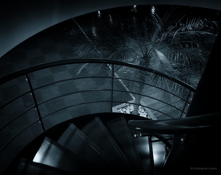 Spiral - circular, spiral, blue, modern, architecture, palm tree