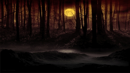 Dark Moon - moon, fogg, grass, night, forest, light, dark, space, half, bright, murder, full, day, new