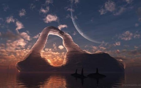 Orca Place - moon, horizon, sky, orca