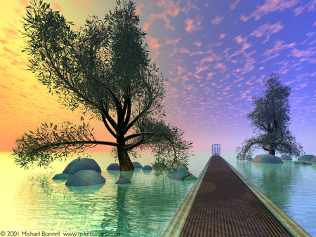 Board Walk - trees, water, dock, nature