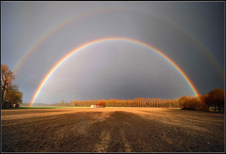 Rainbow - sky, farms, rainbow, golden, field, colors