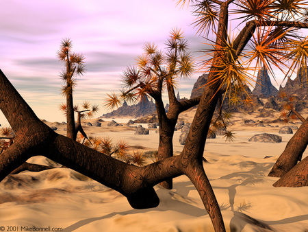 The Spike Tree - trees, nature, desert, spikey