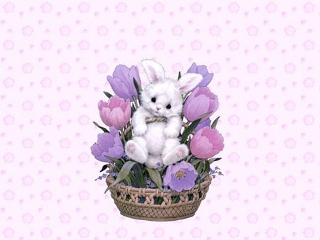 Cute bonnie - bonnie, tulips, sweet, basket, lilac, flower