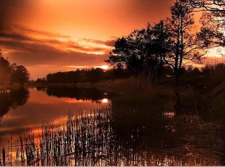 Coral Lagoon - coral colors, water, shore, sky, plants, lagoon, clouds, trees, late sunset