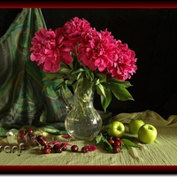 still life