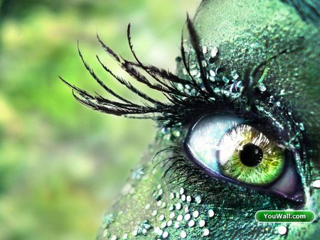 Reptil-Eye - green, up, make, eye, wonderful