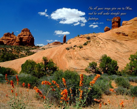 The Hike - nature, beauty, hot, hills