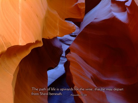 Desert Beauty - shapes, wonder, rocks, images