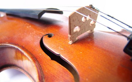 the violin - pretty, wood, brown, entertainment, music, black, white, strings, concert