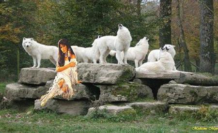 lady wolf - wolfs, lady wolf, lady, wolf