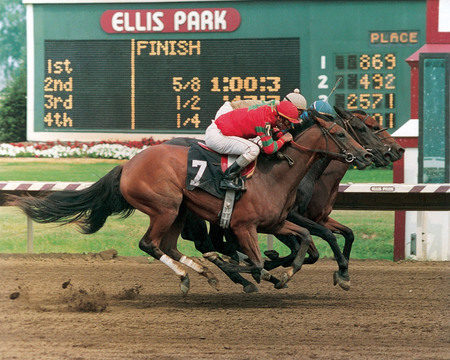 Steeple Chasers Racing to the Finish - horses, race, steeple chasers, finish line