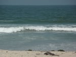 coronado beach