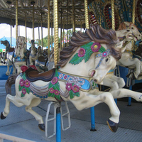 Carosel Floral Horse