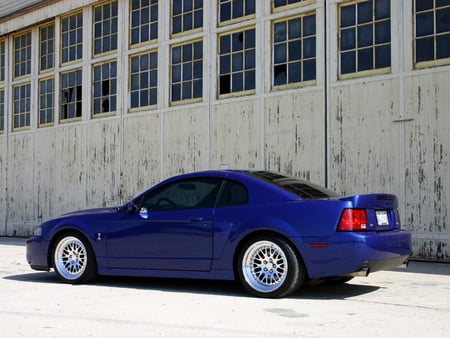 2004 Mustang Cobra - cobra, 2004, ford, mustang