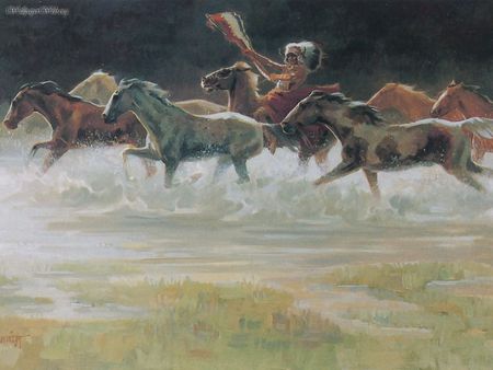 Wild Horses - horses, natives, streams, panic