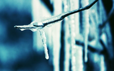 Frozen - frozen, photography, ice, abstract, blue